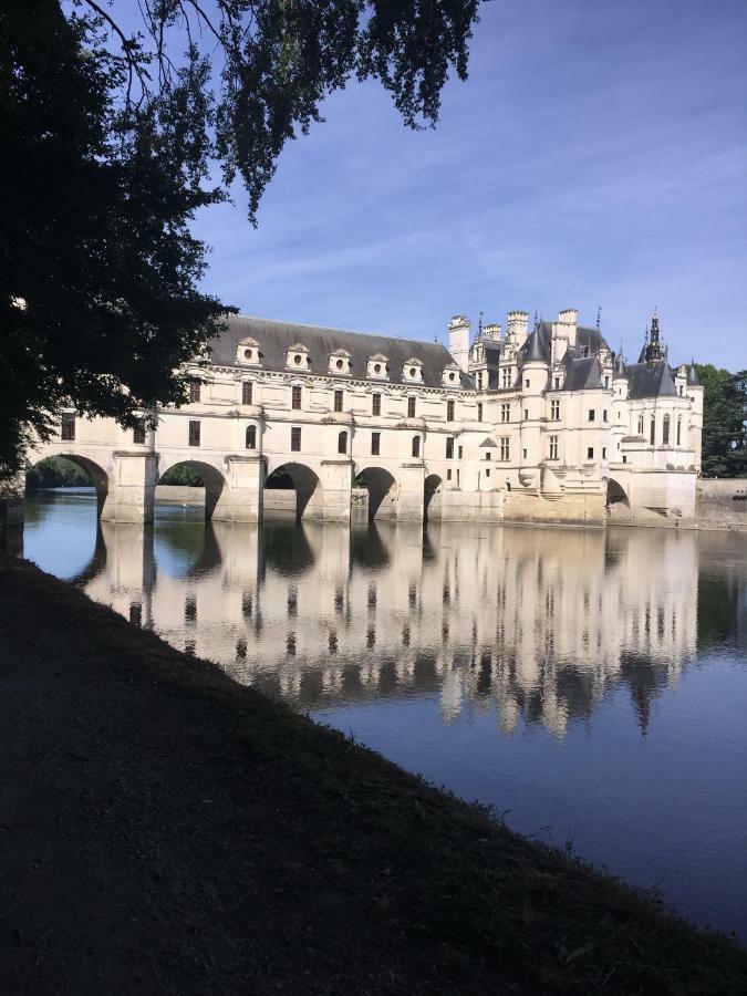 Вилла Au Coeur De La Cour Сен-Жорж-сюр-Шер Экстерьер фото